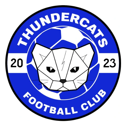 Thunder Cats club badge