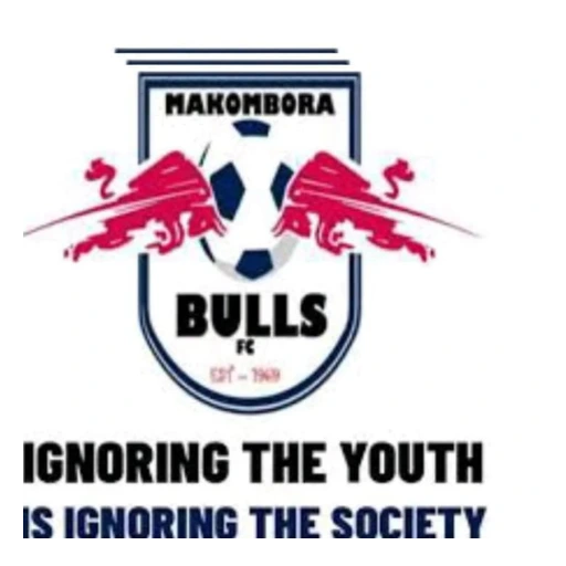 Makombora Bulls FC club badge