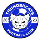 Thunder Cats club badge