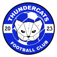 Thunder Cats club badge
