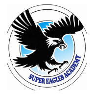 Super Eagles FA club badge