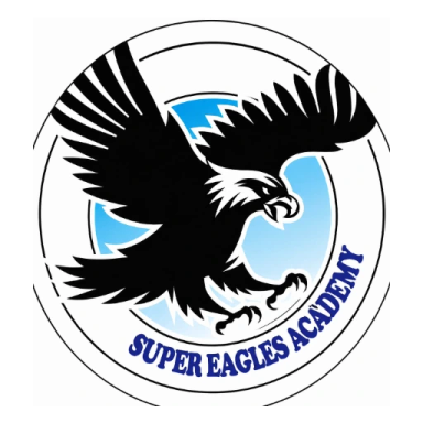 Super Eagles FA club badge